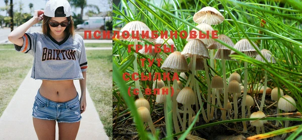 прущий лед Богородицк
