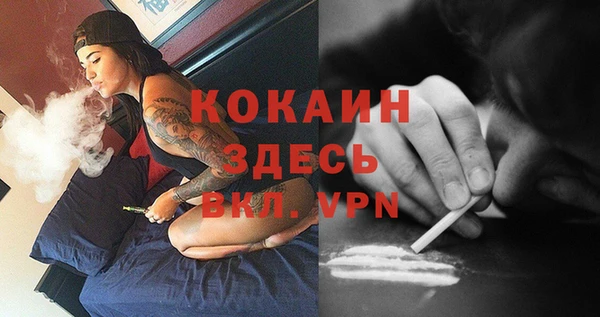 прущий лед Богородицк