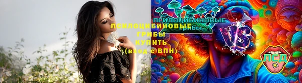 прущий лед Богородицк